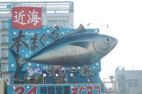 bluefin.jpg