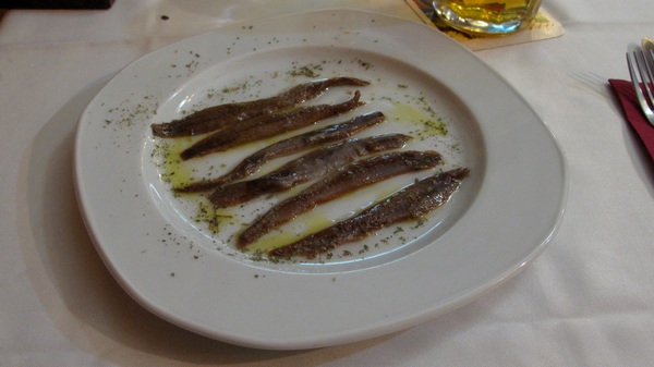 catoanchovies.jpg