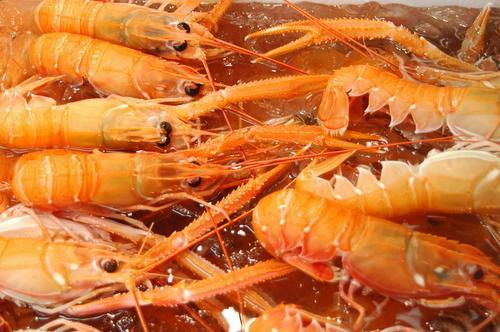 langoustines.jpg