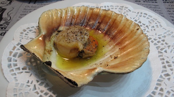 scallop-vr.jpg